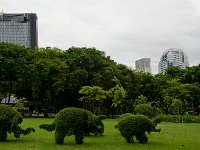 DSC 0969  Les buis taillés en éléphants