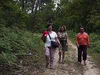 6 km pour un lézard, même vert...