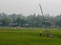Ouvriers agricoles dans une rizière