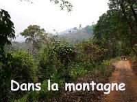 Une randonnée dans la forêt tropicale -un peu vallonée- au nord de Chiang Mai