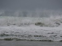 Sur la plage  Image bucolique