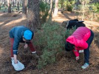 Aux champignons  Des champignons, peut-être, mais ils sont microscopiques !