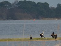 Autour du lac  Image bucolique