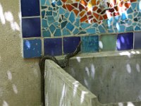 2014 05 29 Combrillac-007