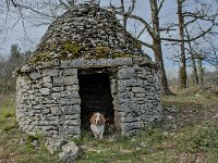 Caselle (ou gariotte) du Quercy