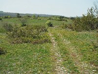Le causse d'Argentine- vue de la bordure ouest