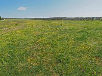 Le causse d'Argentine- vue générale de la partie aérodrome et portion de la voie romaine en haut à gauche
