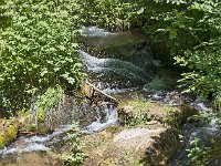 Le Caussou au niveau du pont de la piste forestière en amont d'Unac