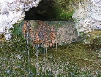 Le trop plein  Cet exutoire ne coule significativement qu'en période de hautes eaux