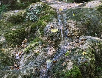 Ecoulement vers la Gardonnette