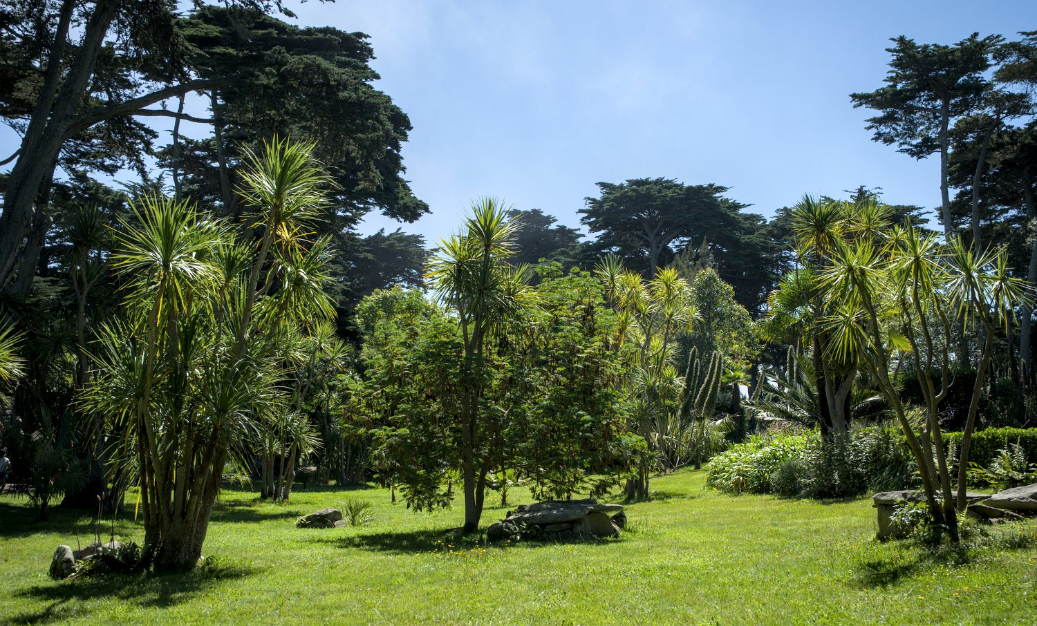 Vue sur les espaces du jardin
