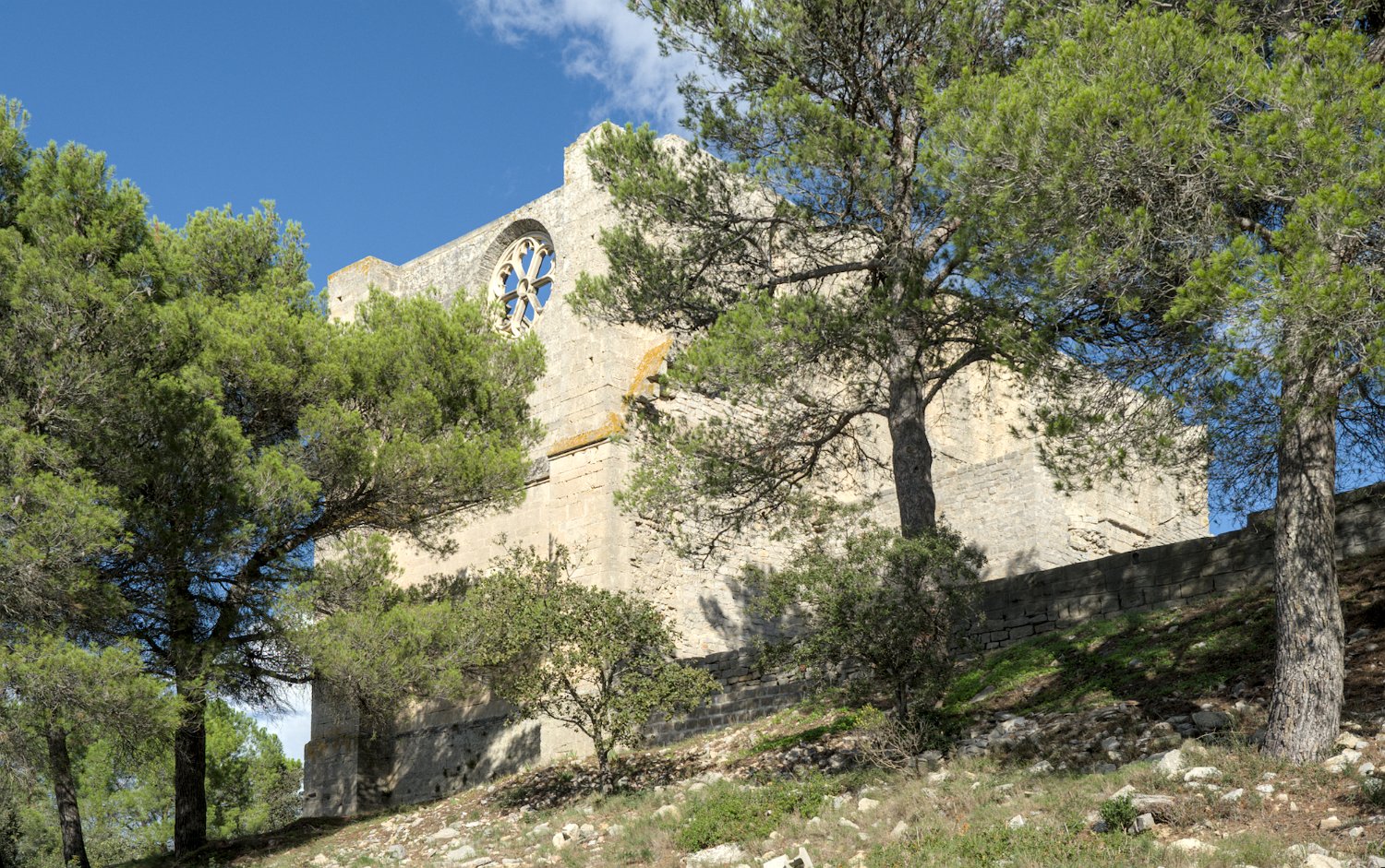 Eglise abbatiale - Pignon ouest