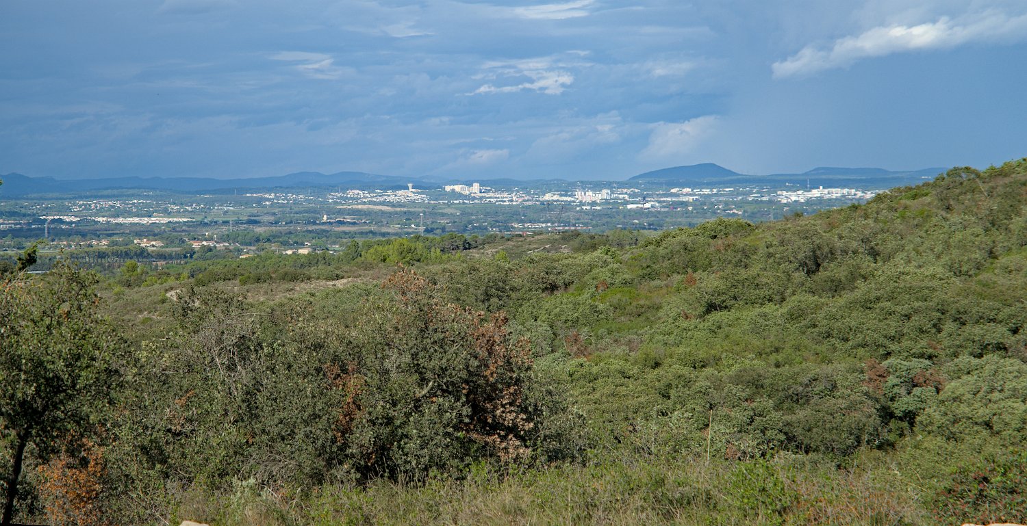 Vue sur la plaine Montpelliéraine