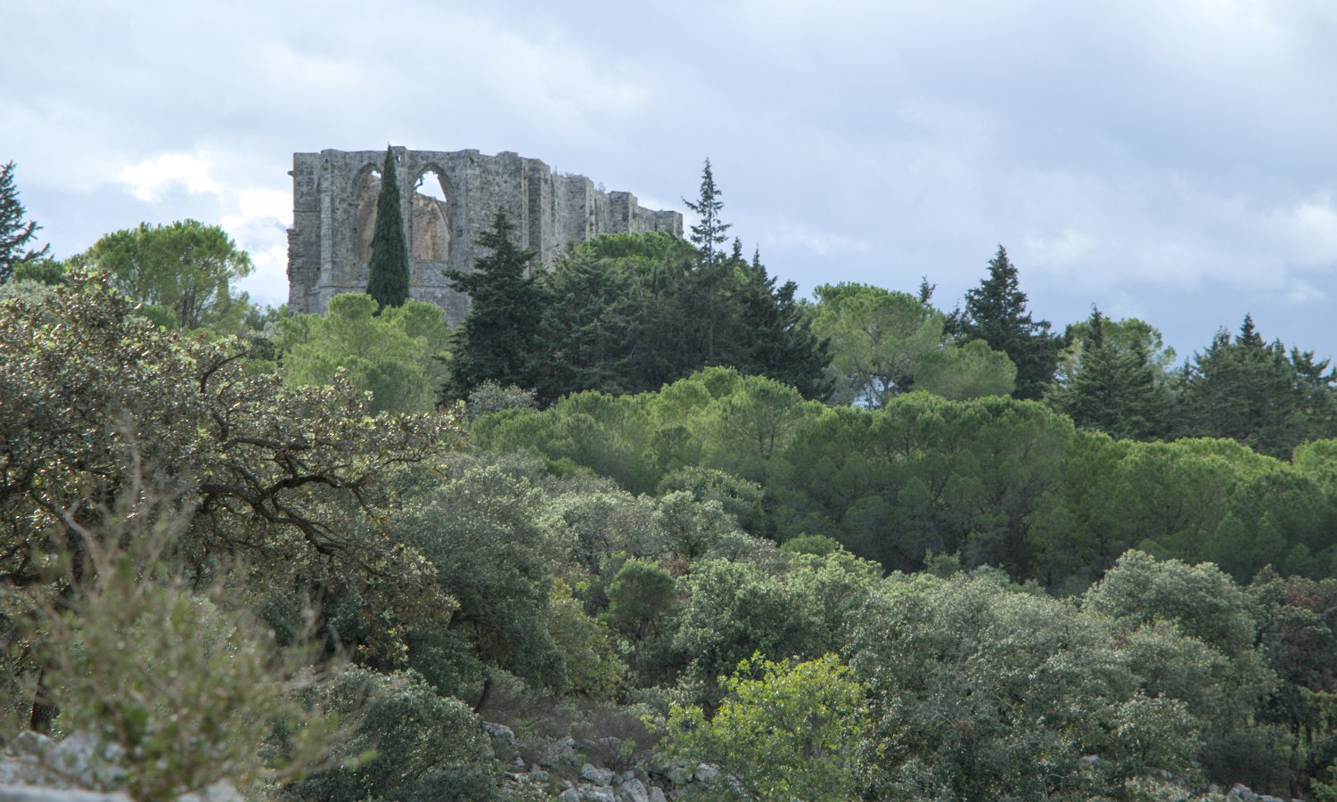 Vue générale du site