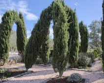 Jardin monastique médiéval
