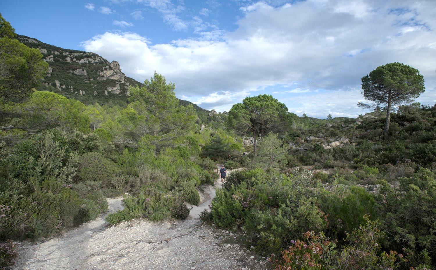 Le sentier de randonnée