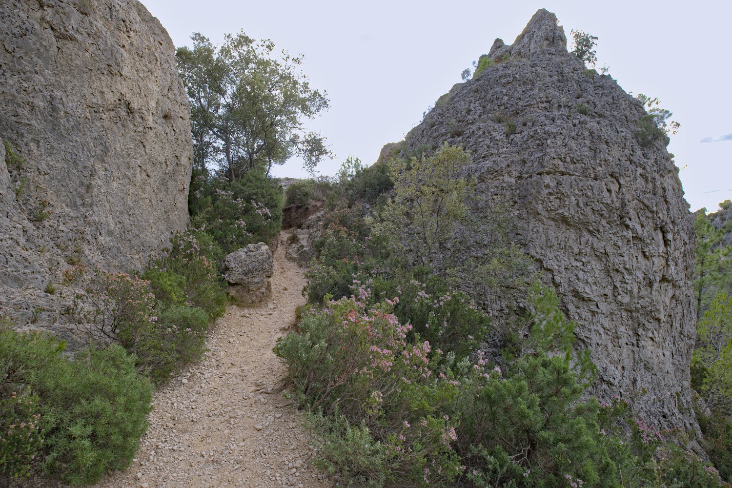 Le sentier de randonnée