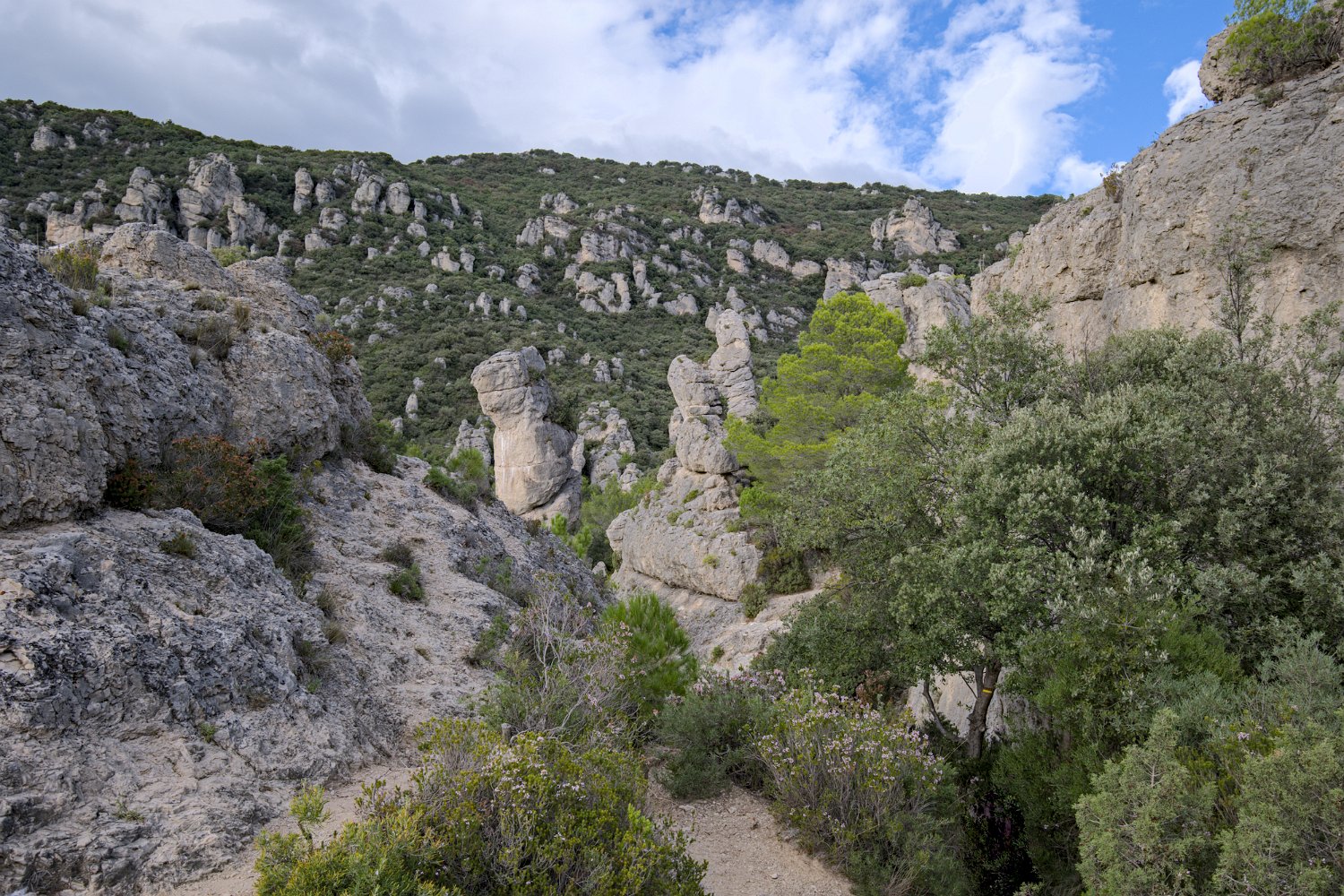 Vue sur les formations rocheuses