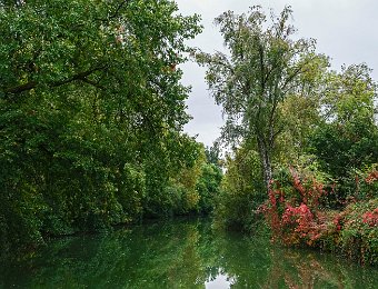 Paysage sur la Baïse
