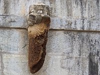 Ruche sauvage dans le temple Jaïn de Ranakpur