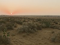 Désert du Thar au coucher du soleil