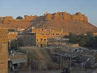 Stock de fourrage à Jodhpur : vache