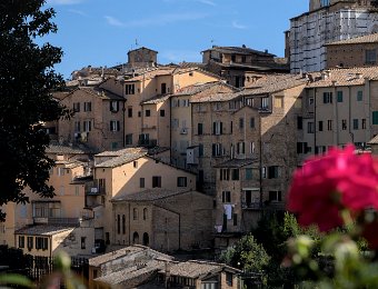 Vue sur des maisons