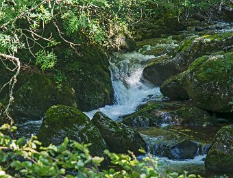 Aston au dessus du barrage de la Riète (Ariège)  Nikon D700 - F5.6- 1/50 - 130mm - 200ISO : Aston, torrent, ariège