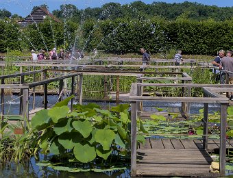 Labyrinthe aquatique