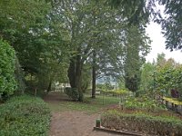 Jardin des sorcières