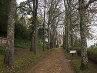 Allée des maronniers