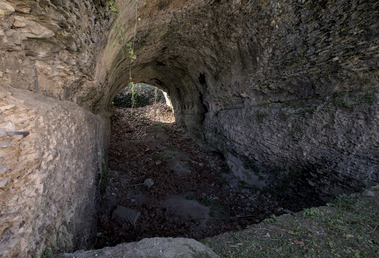 Vestiges de l'amphithéâtre