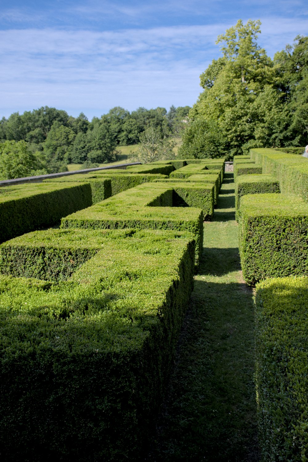Le labyrinthe de buis