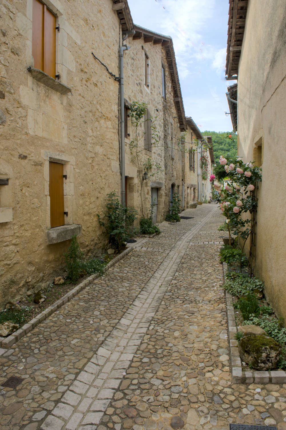 Ruelle fleurie