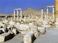 Vue générale depuis l'arc de triomphe