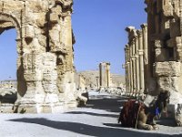 Entrée du Cardo (rue principale, au fond le tétrapyle)