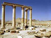 Vue générale depuis le centre du site