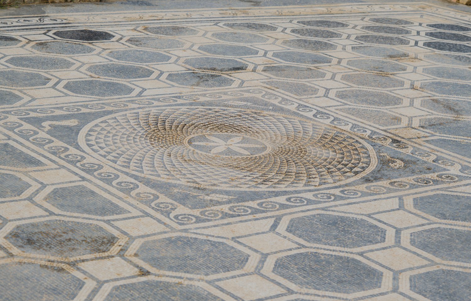 Mosaïque (détail  de la partie centrale)