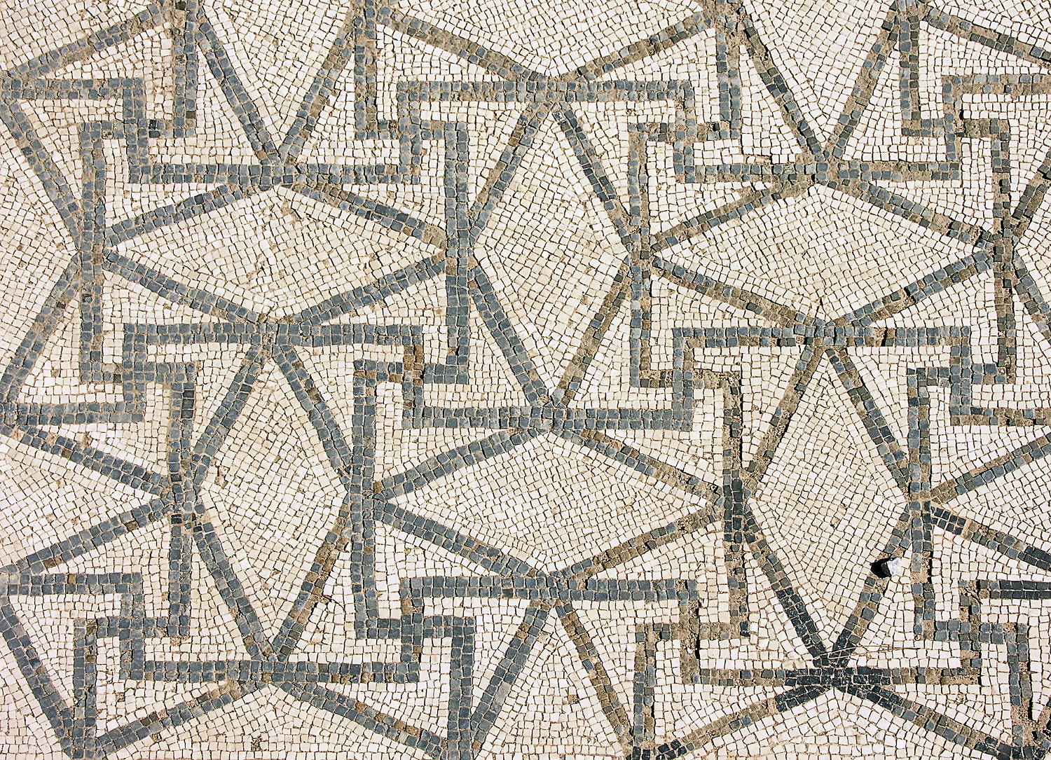 Domus 1 - Mosaïques (détail))