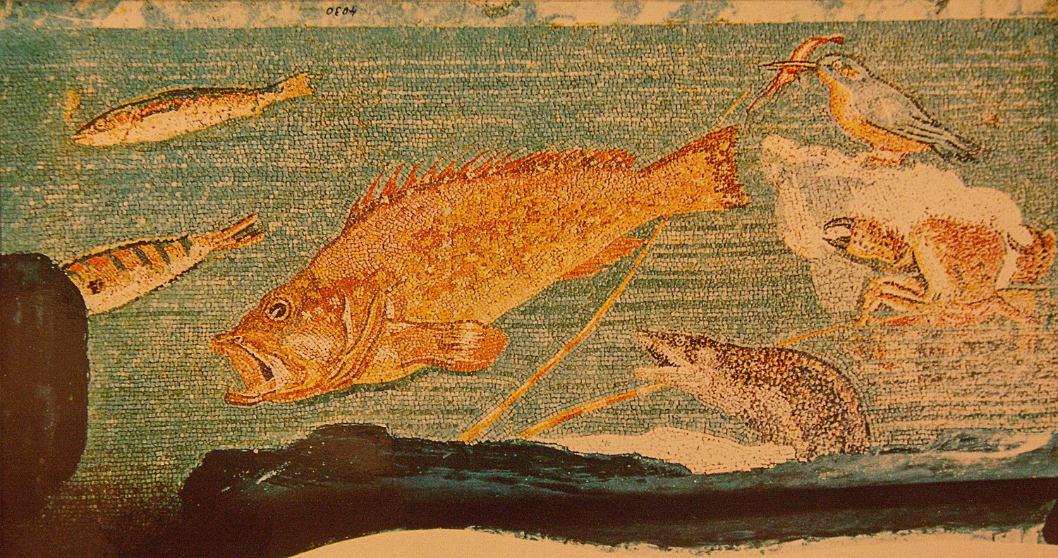 Mosaïque romaine dite du crabe et des poissons