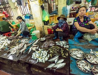 Produits de la mer  au marché de Cat Ba (poissons)
