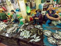 Produits de la mer  au marché de Cat Ba (poissons)