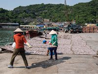 Disposition des claies sur le quai du port