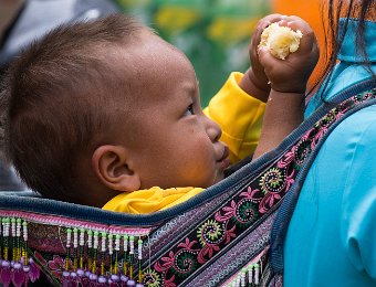  Bébé jouant avec une pousse de bambou