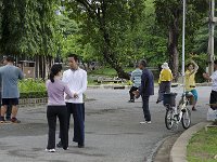 Des thaïs faisant du tha-chi dans le parc Lumphini à Bangkok