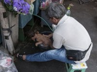 Un bain dans la rue à Bangkok
